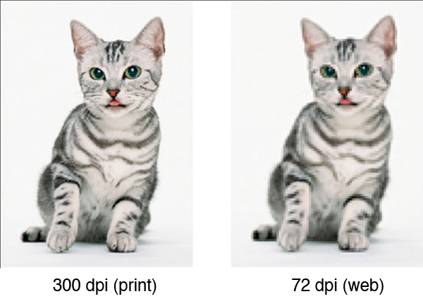 Thumbnail for version as of 20:14, 12 January 2015